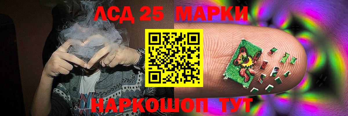 блэк спрут вход  Лсд 25 экстази кислота  Вход с VPN  Приморско-Ахтарск 