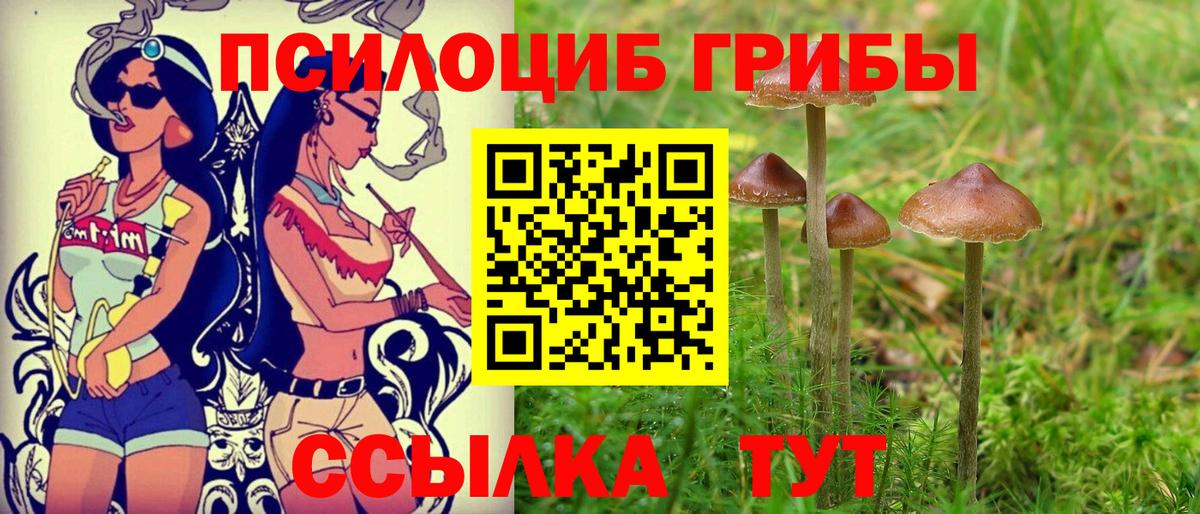 Псилоцибиновые грибы Magic Shrooms  Вход с VPN  Приморско-Ахтарск  Галлюциногенные грибы Psilocybine cubensis 